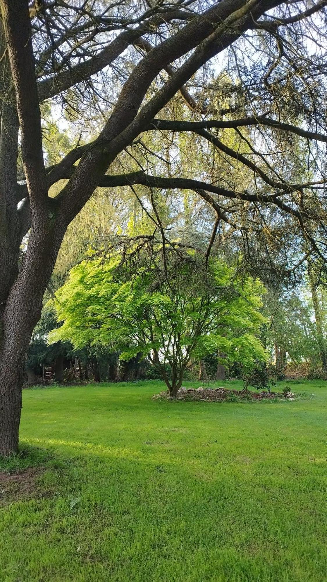La Suite D'Anna Rohan Exteriör bild