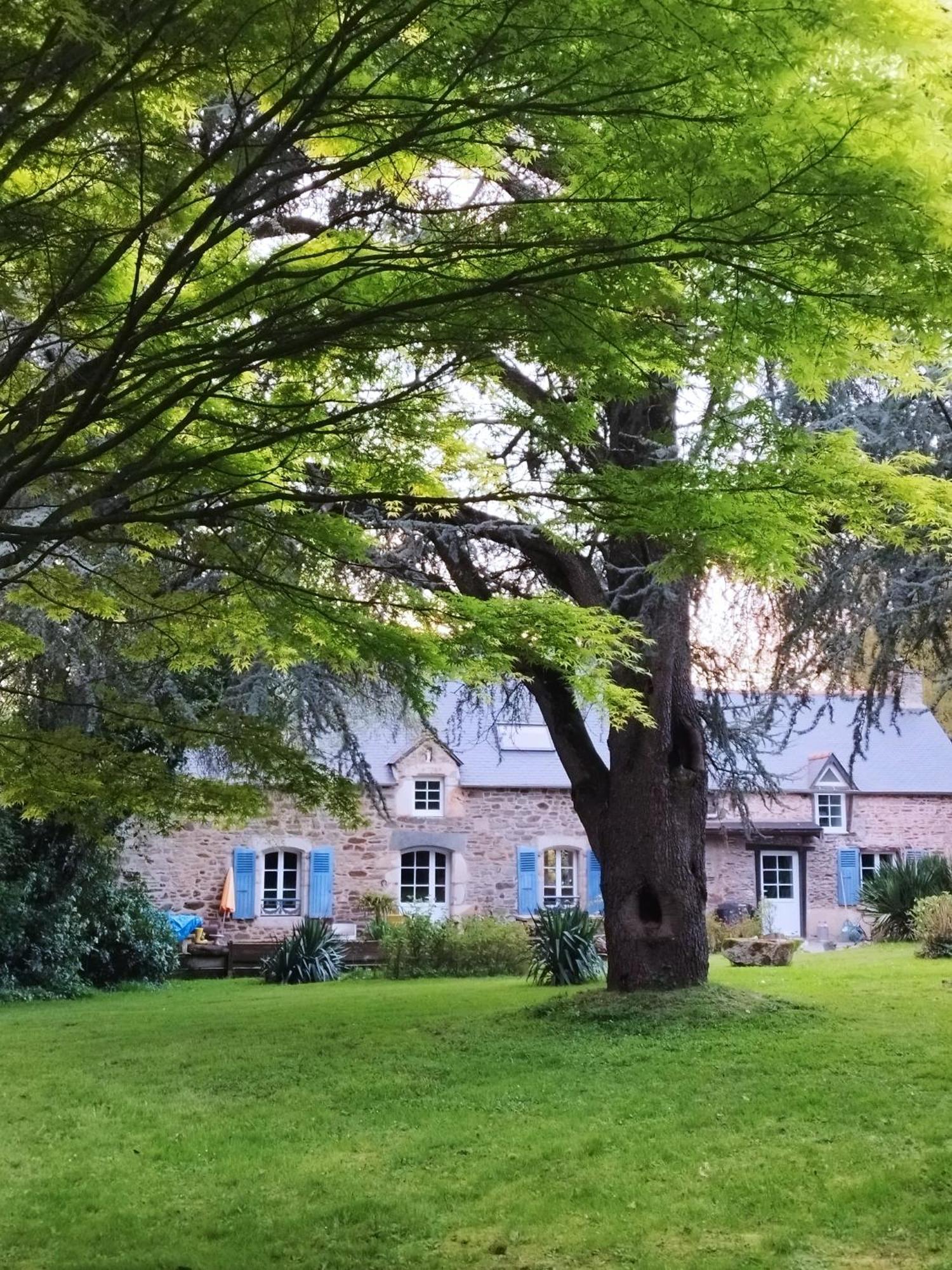 La Suite D'Anna Rohan Exteriör bild